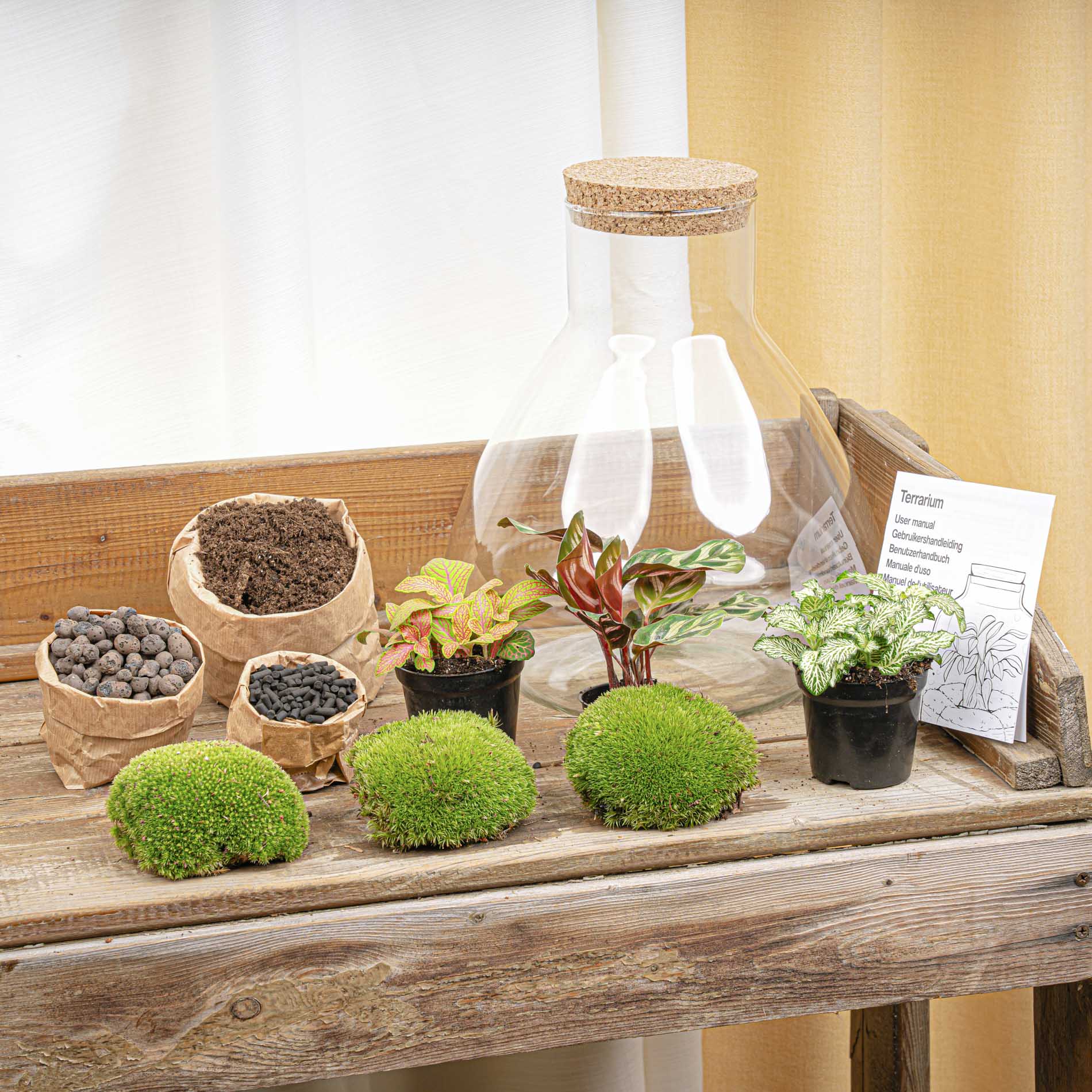 Terrarium Diy Kit - Sam Xl Red - Bottle Garden - ↑ 35 Cm