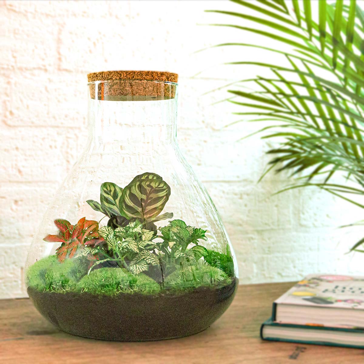 Terrarium Diy Kit - Sam Xl Red - Bottle Garden - ↑ 35 Cm