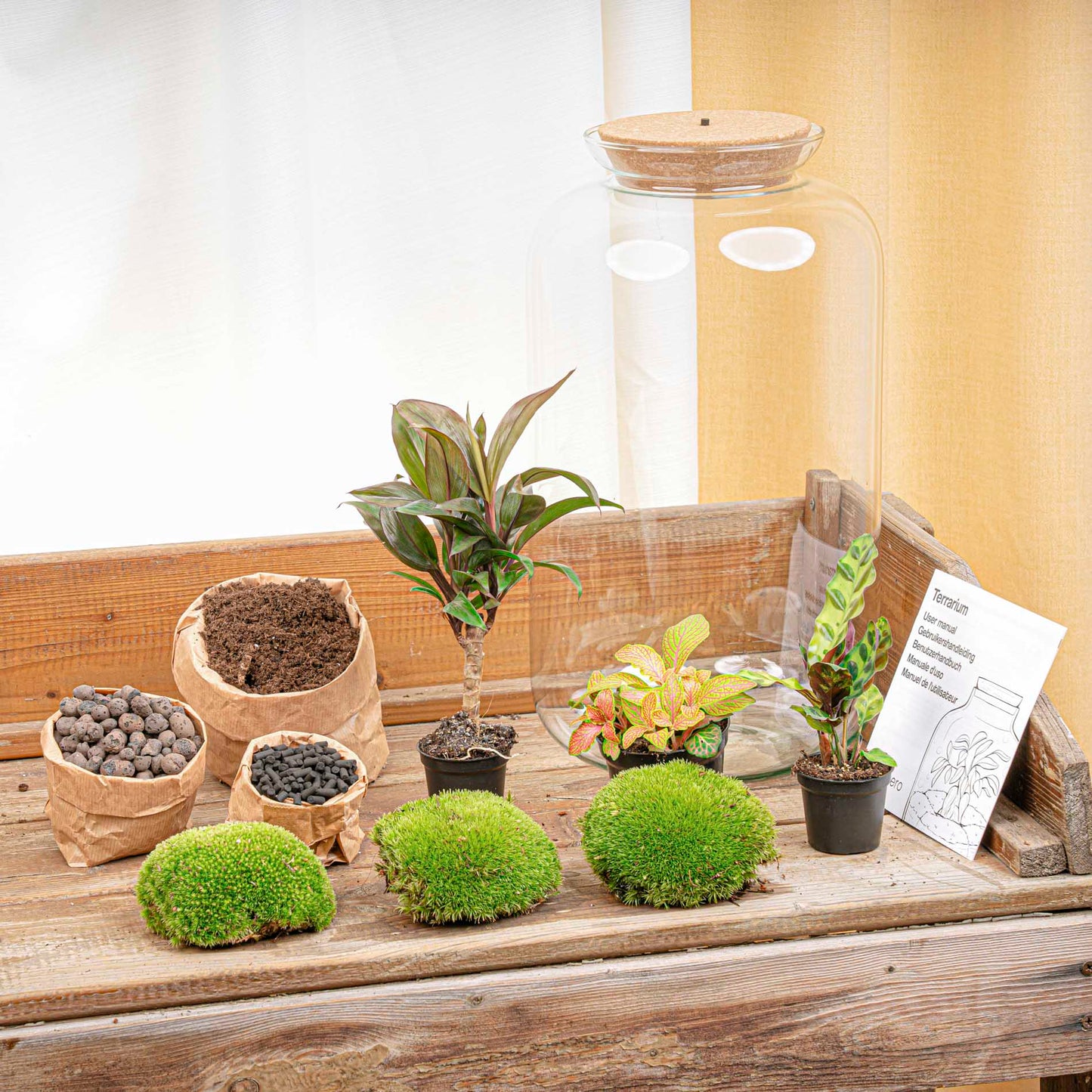 Terrarium Diy Kit - Sven Xl Palm - With Lightning - Bottle Garden - ↑ 43 Cm