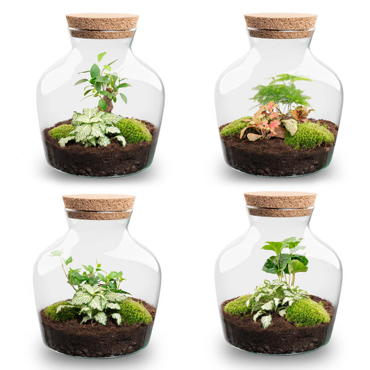 Terrarium Diy Kit - Little Joe - Bottle Garden - ↑ 21.5 Cm