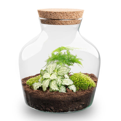 Terrarium Diy Kit - Little Joe - Bottle Garden - ↑ 21.5 Cm