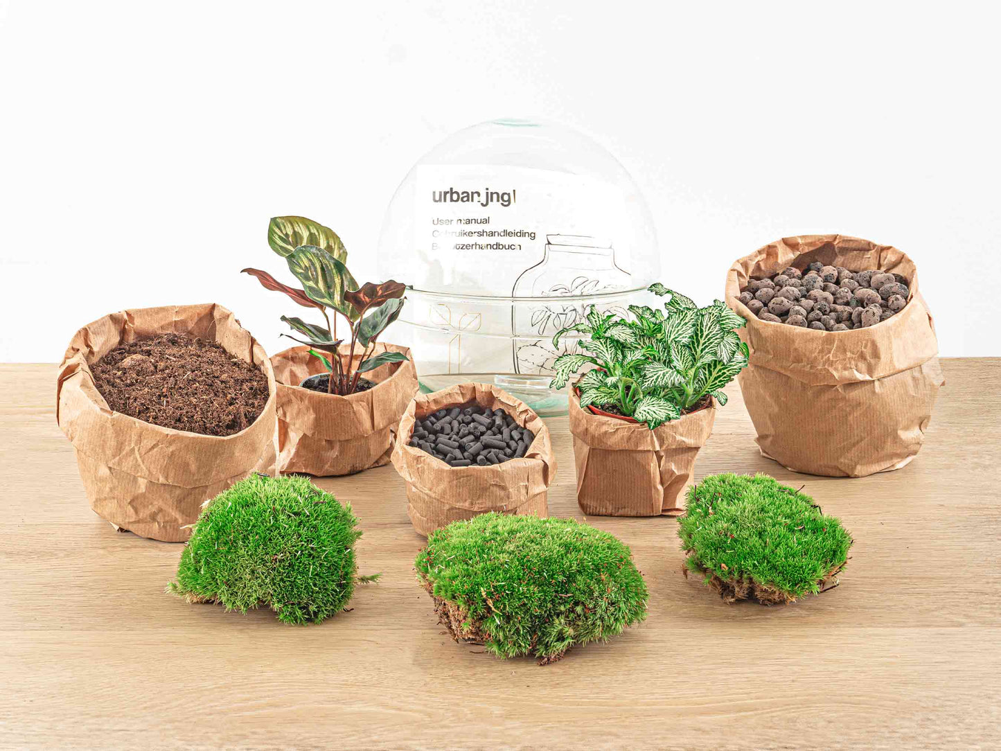 Terrarium Diy Kit - Dome - Bottle Garden - ↑ 20 Cm