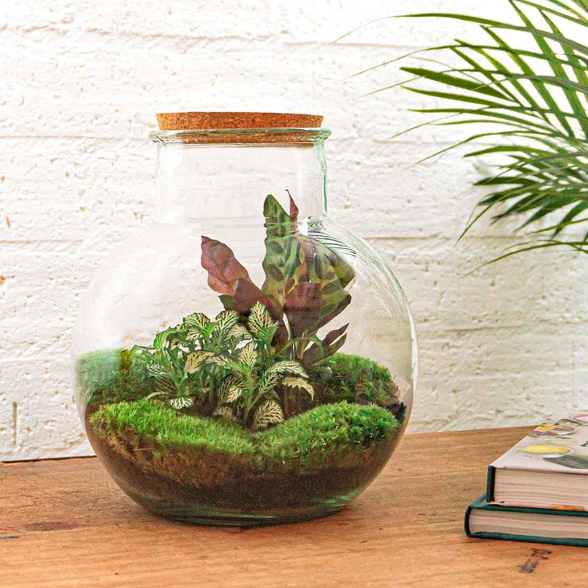 Terrarium Diy Kit - Teddy - Bottle Garden - ↑ 26,5 Cm