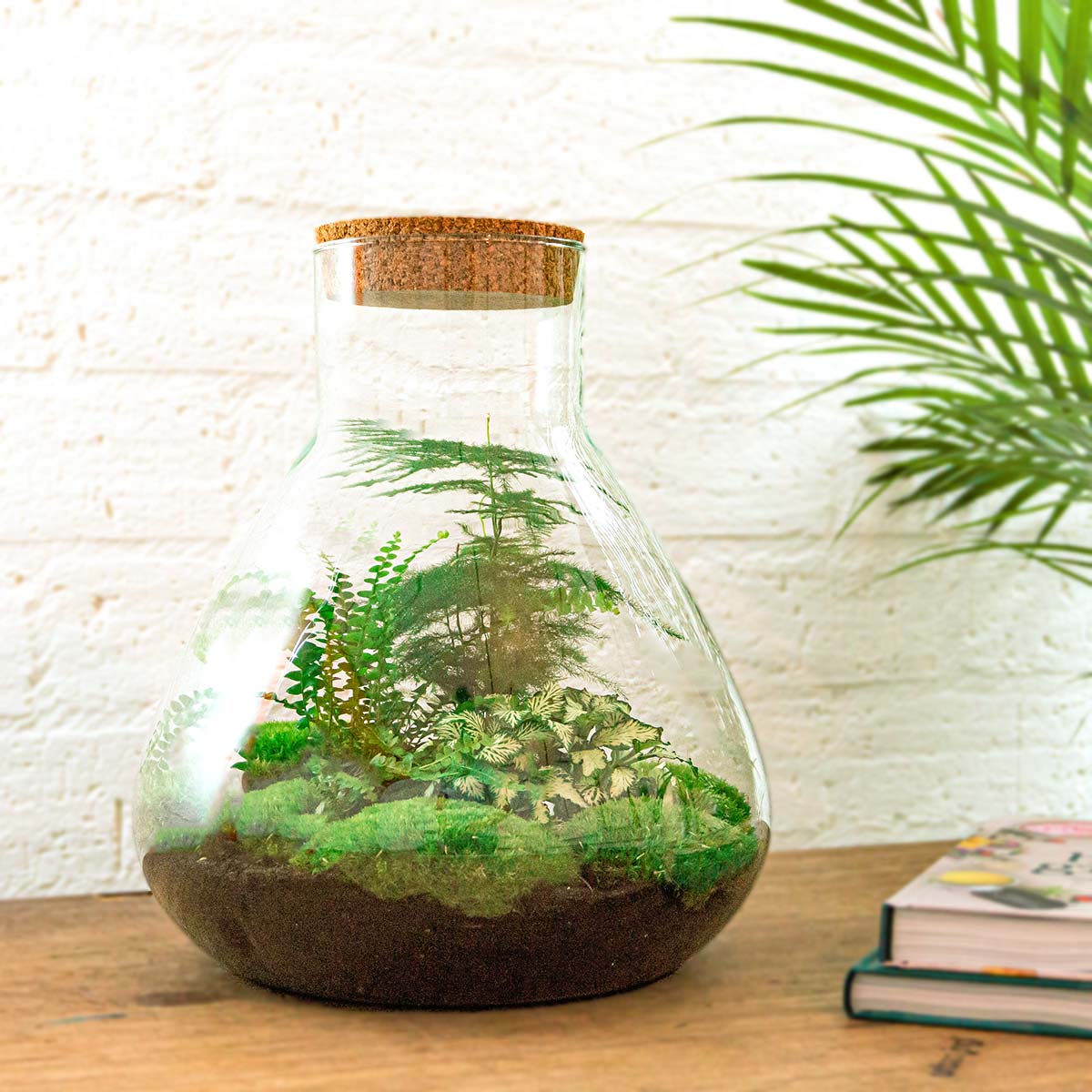 Terrarium Diy Kit - Sam Xl - Bottle Garden - ↑ 35 Cm